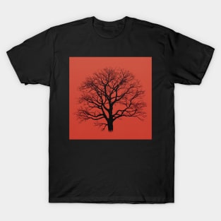 American beech T-Shirt